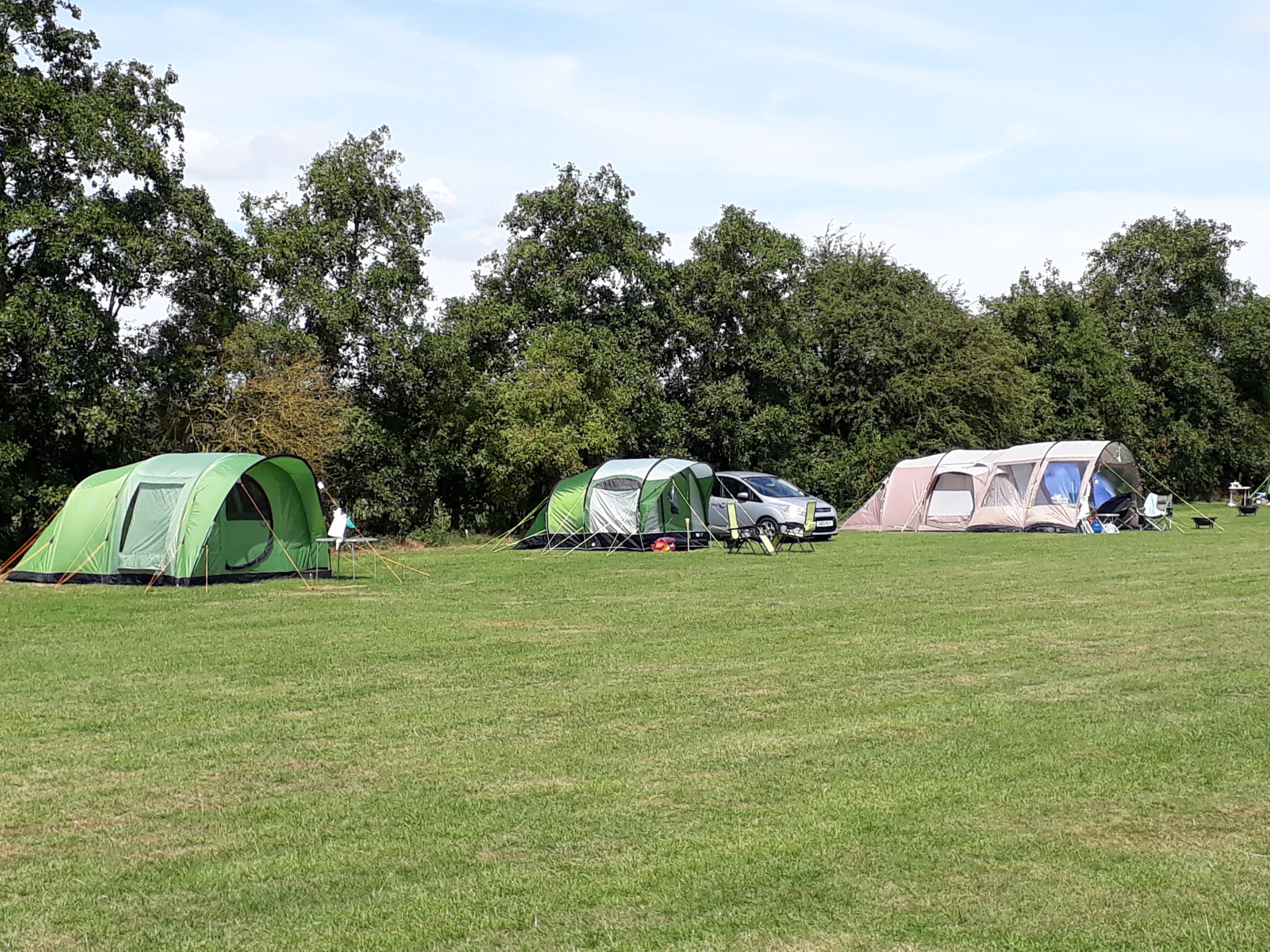 Peak Season Grass Tent Pitch